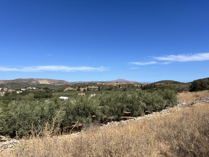 Image No.7-Plot for sale