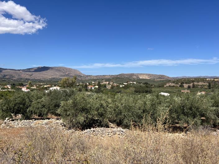 Image No.8-Plot for sale