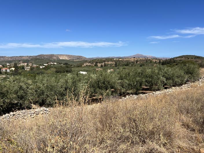 Image No.9-Plot for sale