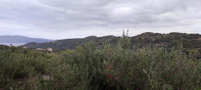 Image No.10-Plot for sale