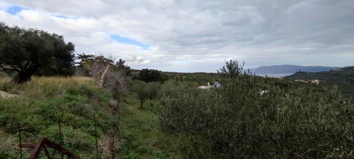 Image No.14-Plot for sale