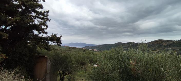 Image No.16-Plot for sale