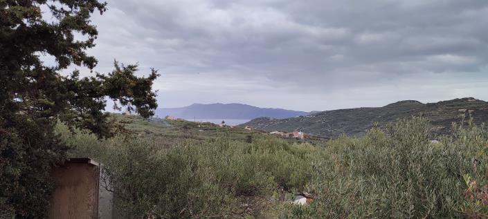 Image No.15-Plot for sale