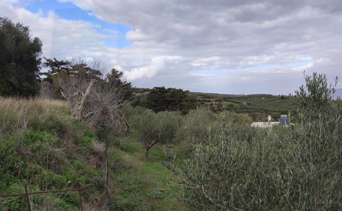 Image No.17-Plot for sale