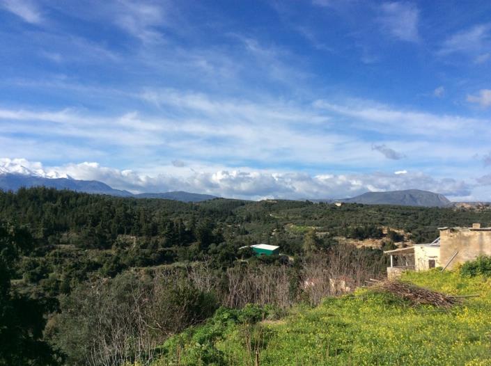 Image No.2-Plot for sale