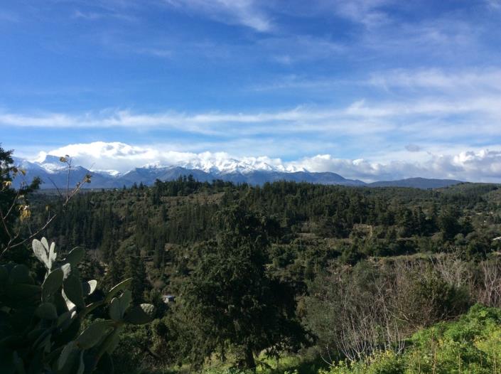 Image No.11-Plot for sale