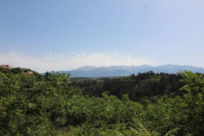 Image No.3-Plot for sale