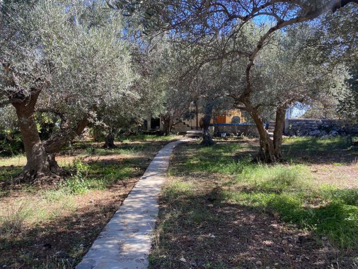 Image No.9-3 Bed House/Villa for sale