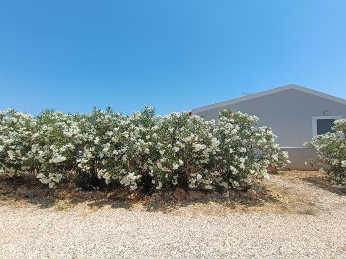 Image No.23-2 Bed House/Villa for sale