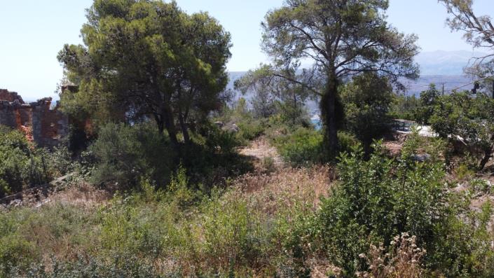 Image No.2-Land for sale