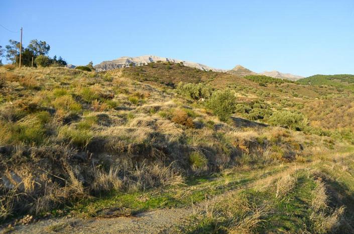 Image No.27-3 Bed Country Property for sale