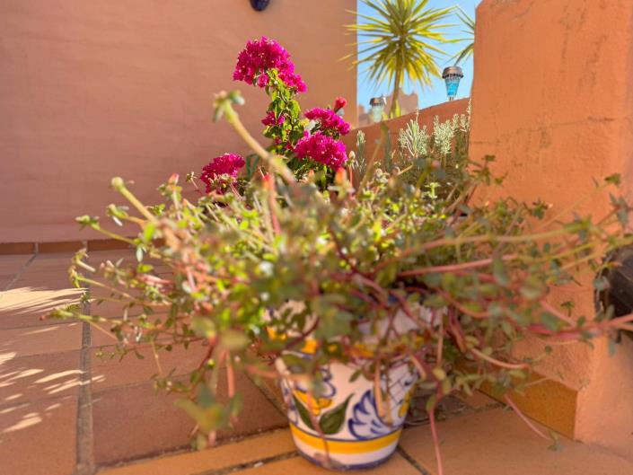 Image No.16-2 Bed Apartment for sale