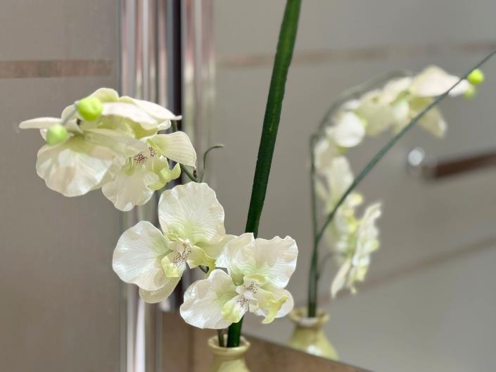 Image No.23-2 Bed Apartment for sale