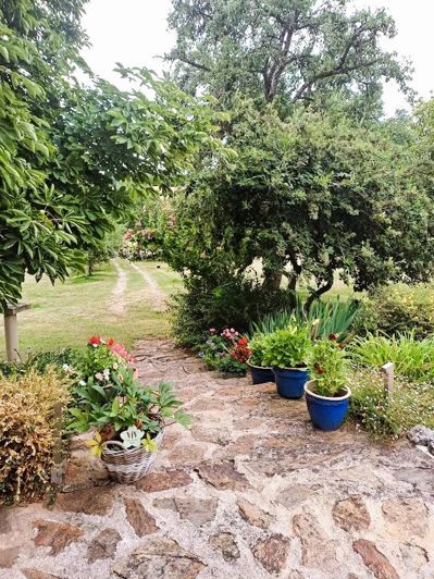 Image No.8-6 Bed House for sale