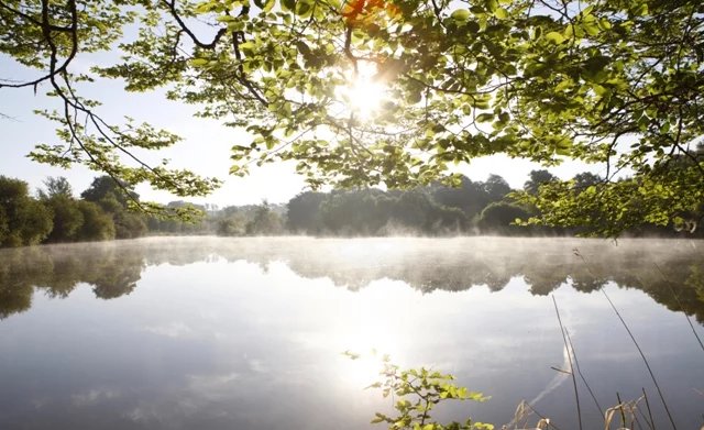 Image No.2-6 Bed House for sale