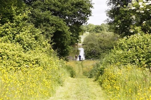 Image No.26-6 Bed House for sale