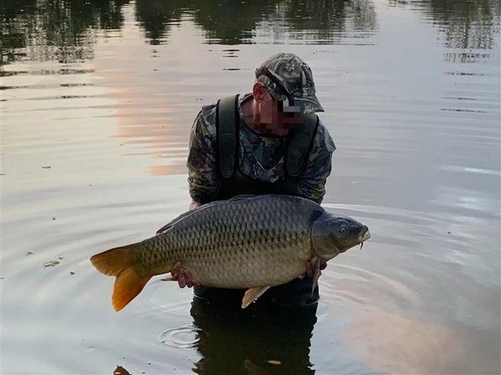 Image No.3-6 Bed House for sale