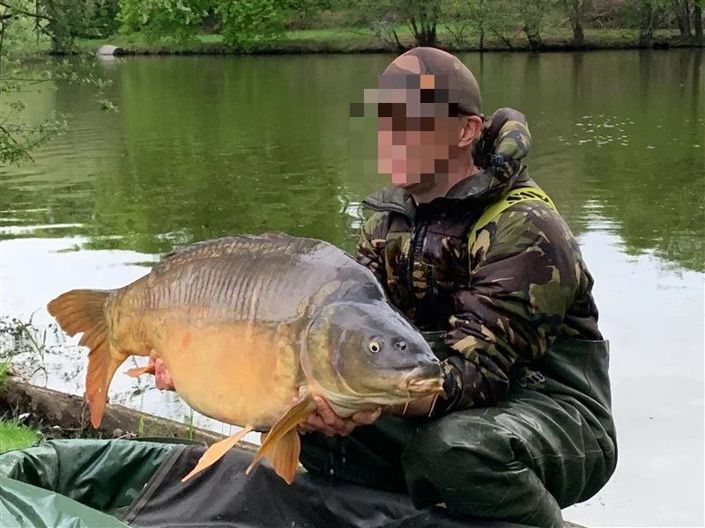 Image No.4-6 Bed House for sale