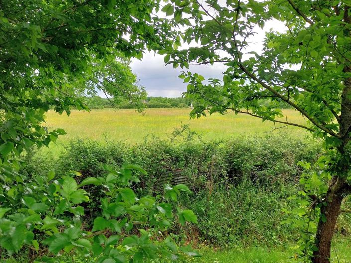 Image No.19-6 Bed House for sale