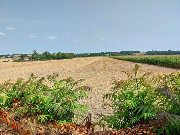 Image No.18-5 Bed House for sale