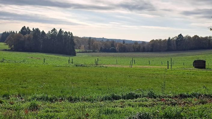 Image No.49-4 Bed Villa for sale