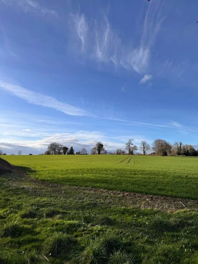 Image No.5-2 Bed House for sale