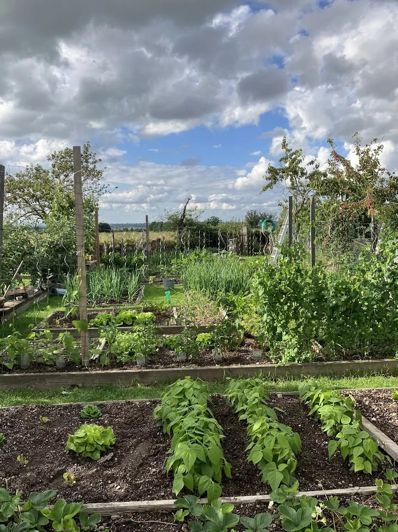 Image No.14-6 Bed House for sale