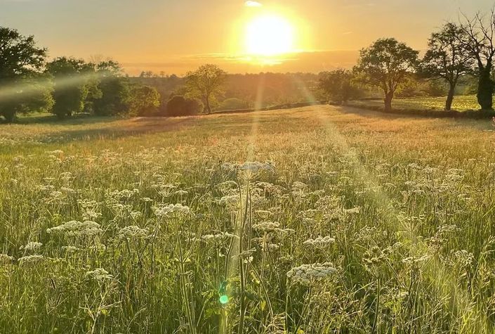 Image No.22-6 Bed House for sale