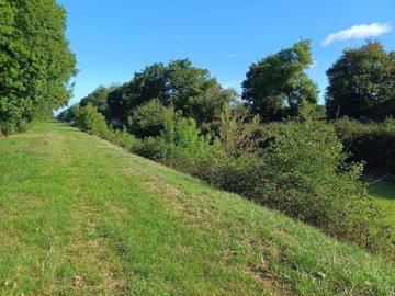 9e722b19980a39b3ca399f2adc58cdd2e3384635ef115