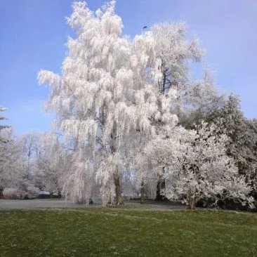 Image No.16-House for sale