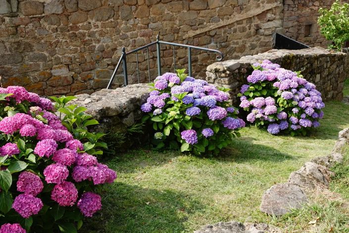 Image No.44-Apartment for sale