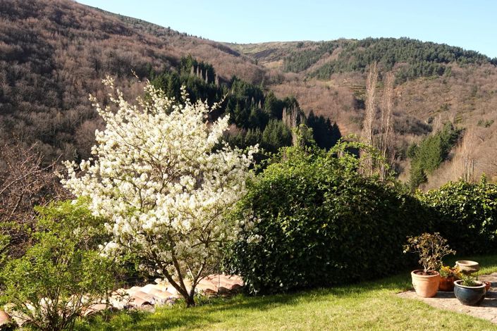 Image No.57-Apartment for sale