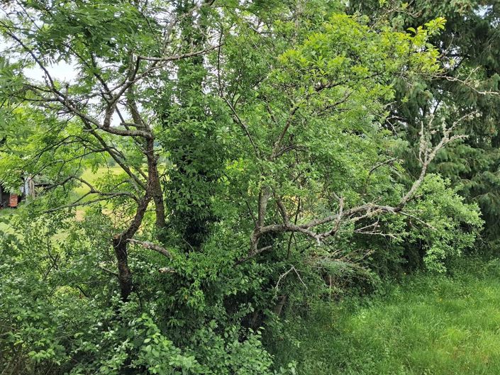 Image No.20-2 Bed House for sale