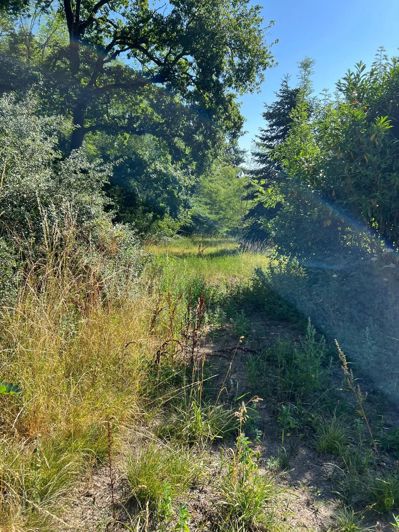 Image No.21-4 Bed House for sale