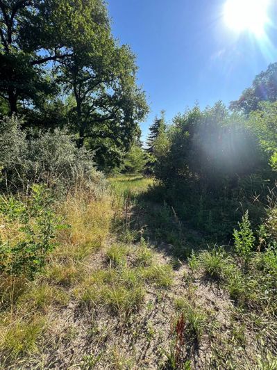 Image No.25-4 Bed House for sale