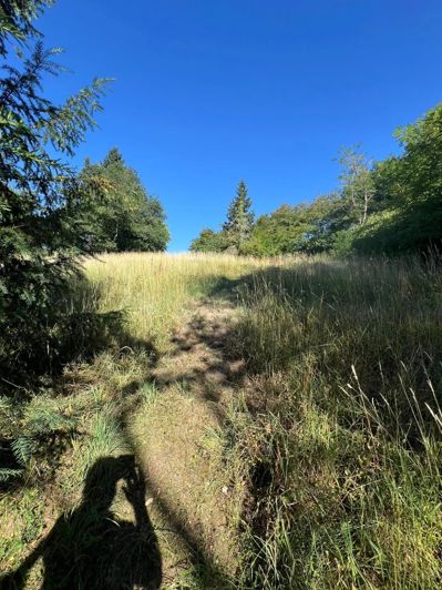 Image No.27-4 Bed House for sale