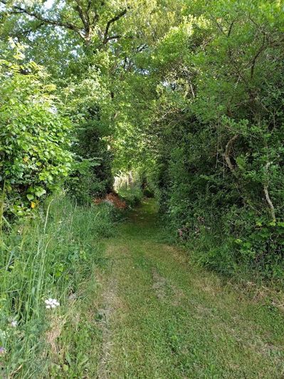 Image No.25-3 Bed House for sale