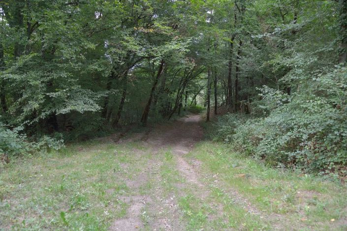 Image No.7-Land for sale