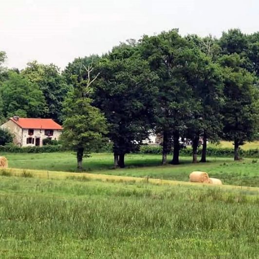 Image No.17-4 Bed House for sale