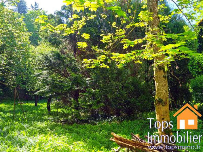 Image No.3-3 Bed House for sale