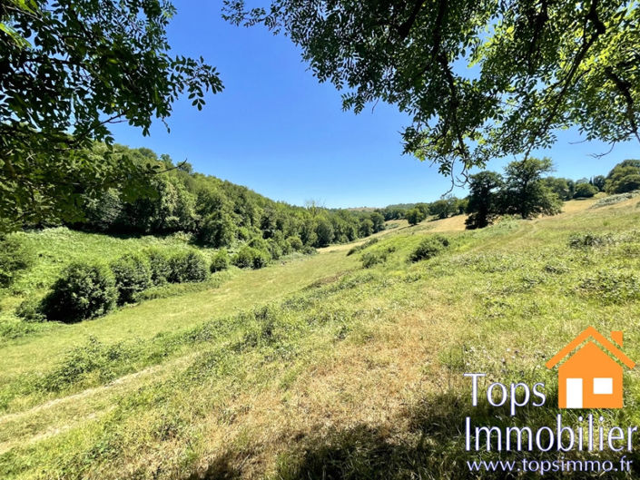 Image No.24-3 Bed House for sale