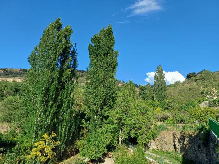 Image No.20-5 Bed Finca for sale