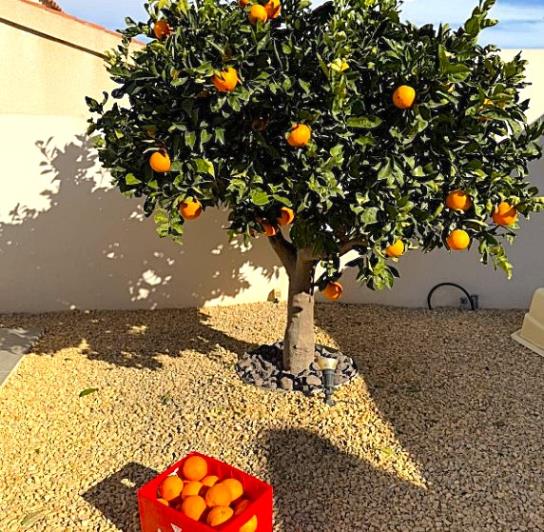 Image No.20-3 Bed Villa / Detached for sale