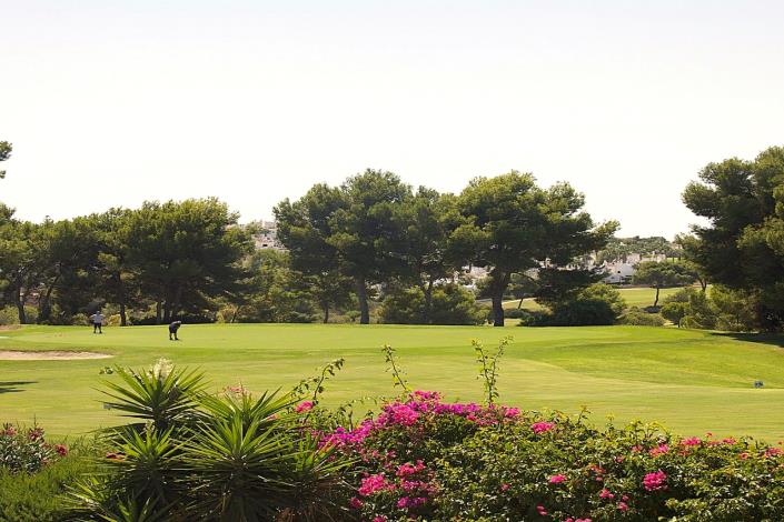 Image No.3-3 Bed Villa / Detached for sale