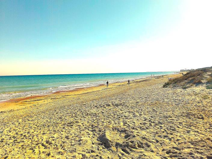 Image No.15-5 Bed Semi-Detached for sale