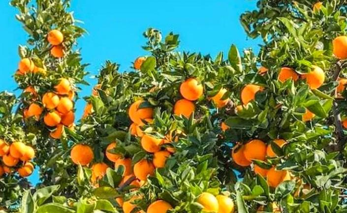 Image No.21-2 Bed Townhouse for sale