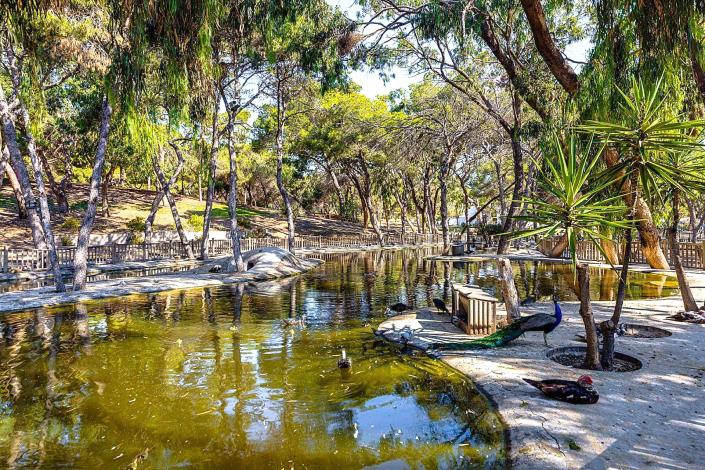 Image No.8-2 Bed Penthouse for sale