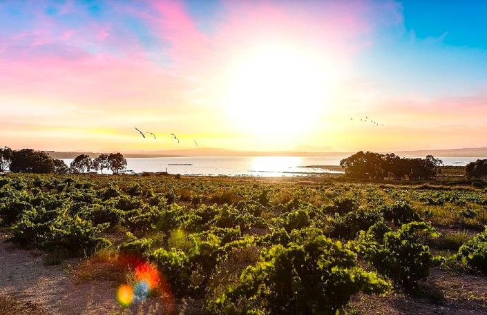 Image No.28-3 Bed Villa for sale