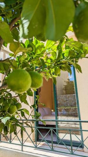 Image No.30-3 Bed House for sale