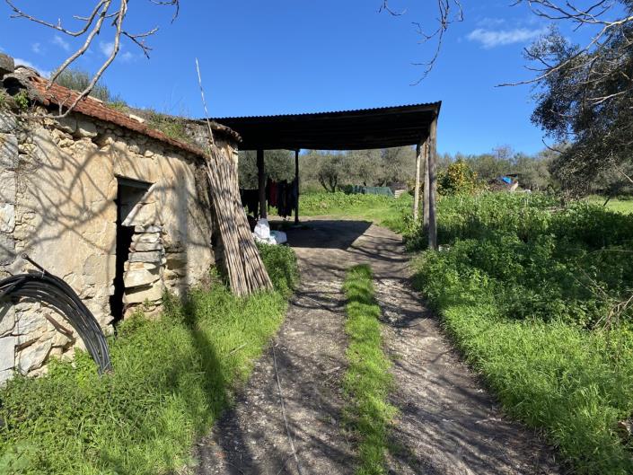 Image No.3-Village House for sale